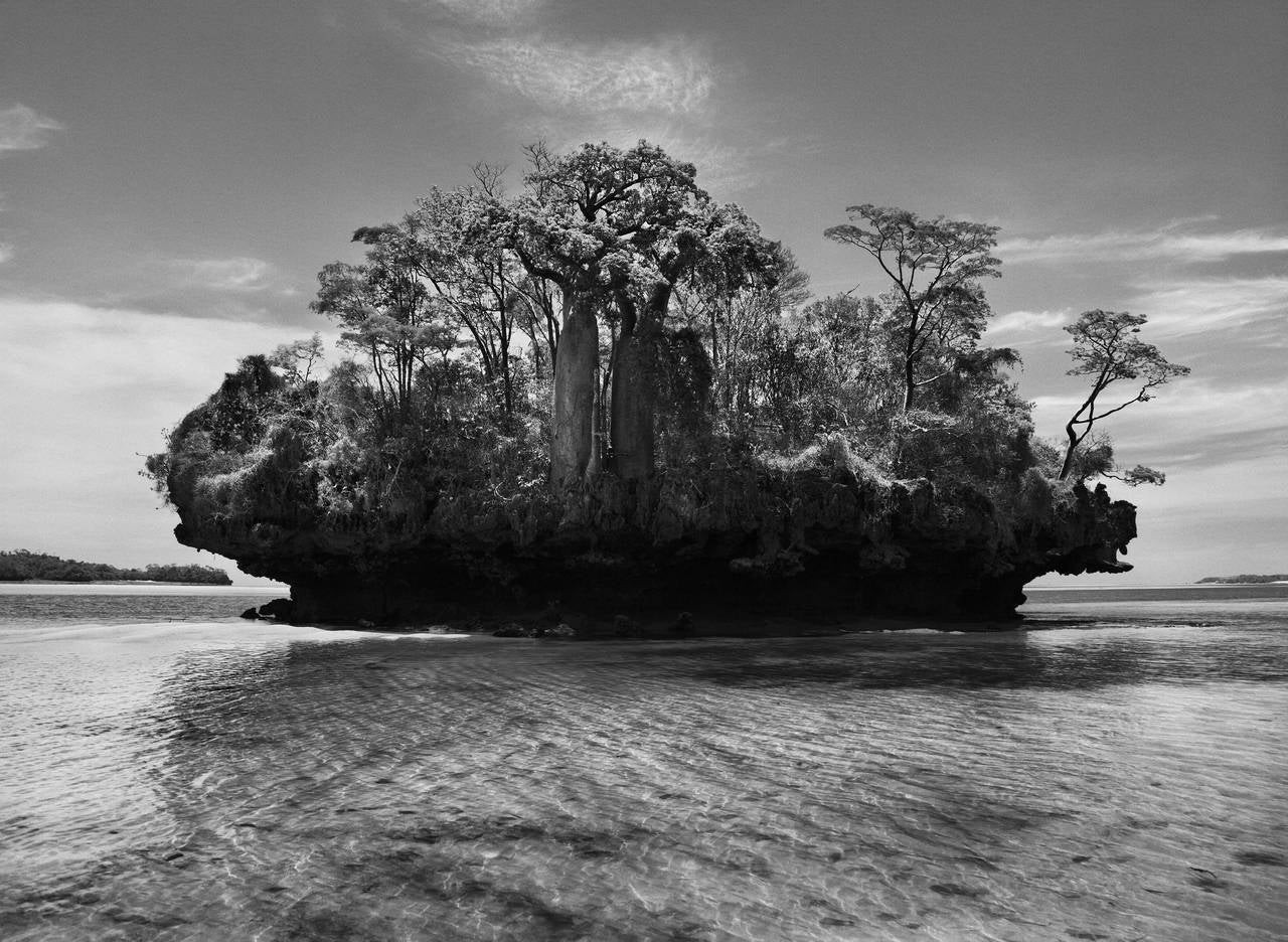 Баобабы на островке в заливе Морамба, Мадагаскар, 2010. Автор Себастьян Сальгадо