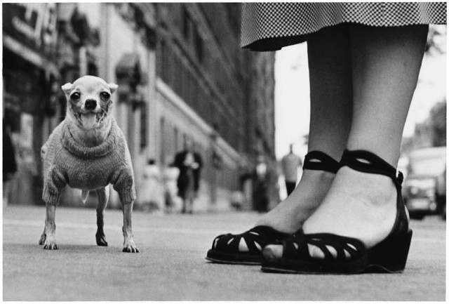 Нью-Йорк, 1946. Автор Эллиотт Эрвитт