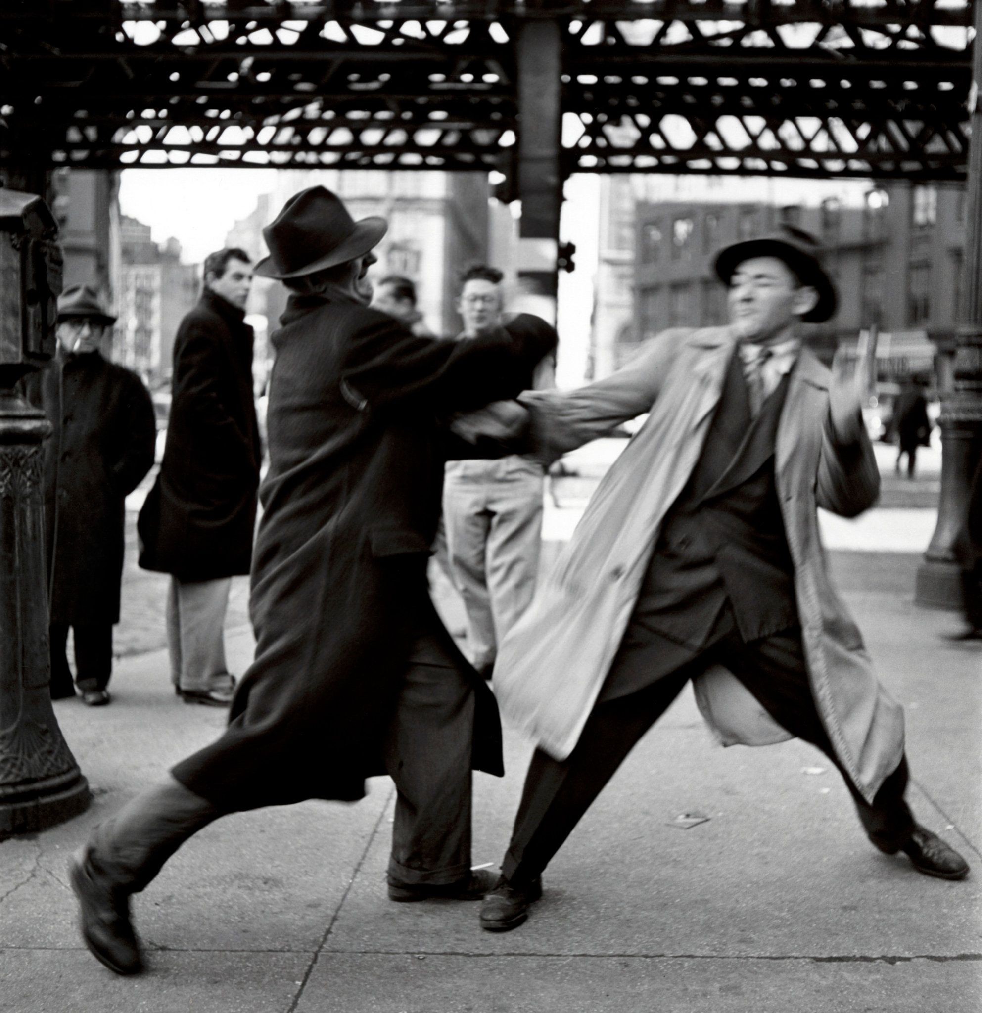 Драка, Нью-Йорк, 1950. Автор Эллиотт Эрвитт