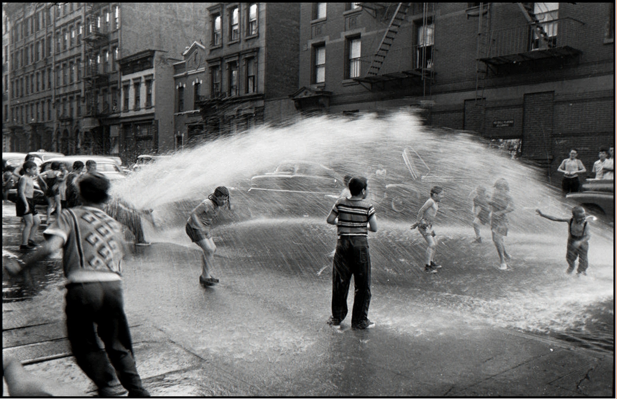 Нью-Йорк, 1953 год. Автор Эллиотт Эрвитт