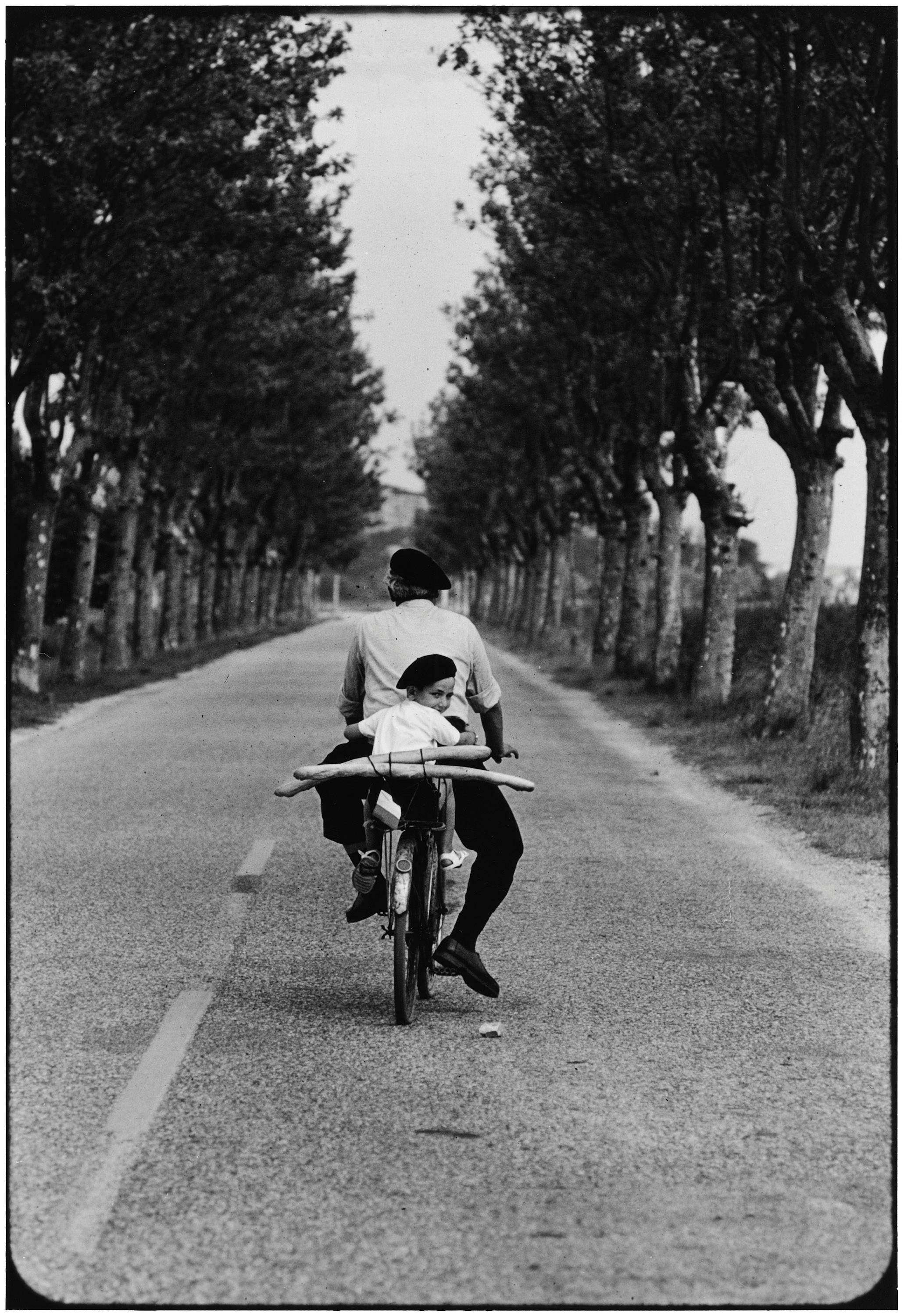 Прованс, Франция, 1955. Автор Эллиотт Эрвитт