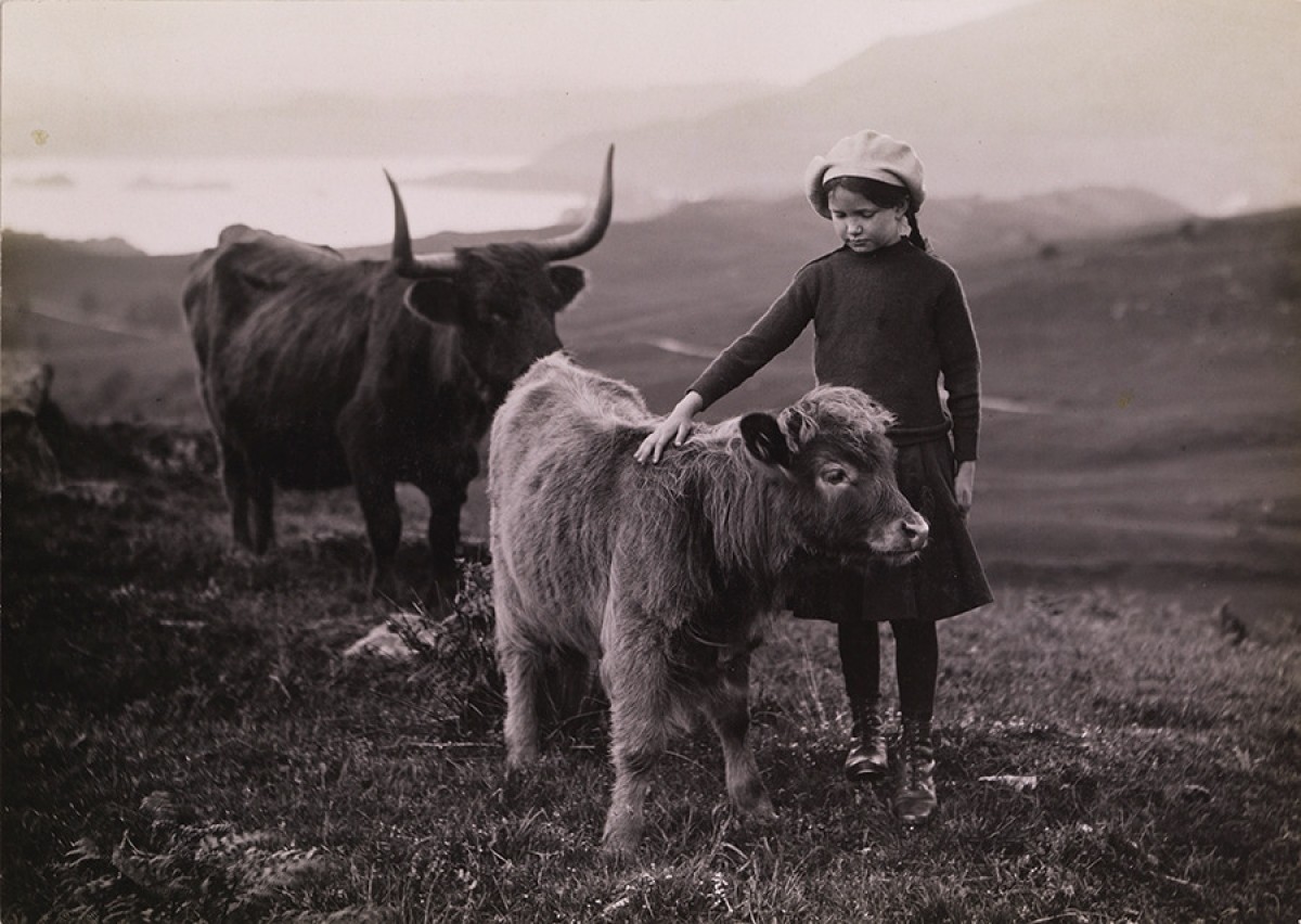 Девочка с телёнком в Шотландии, 1918. Фотограф Уильям Рид
