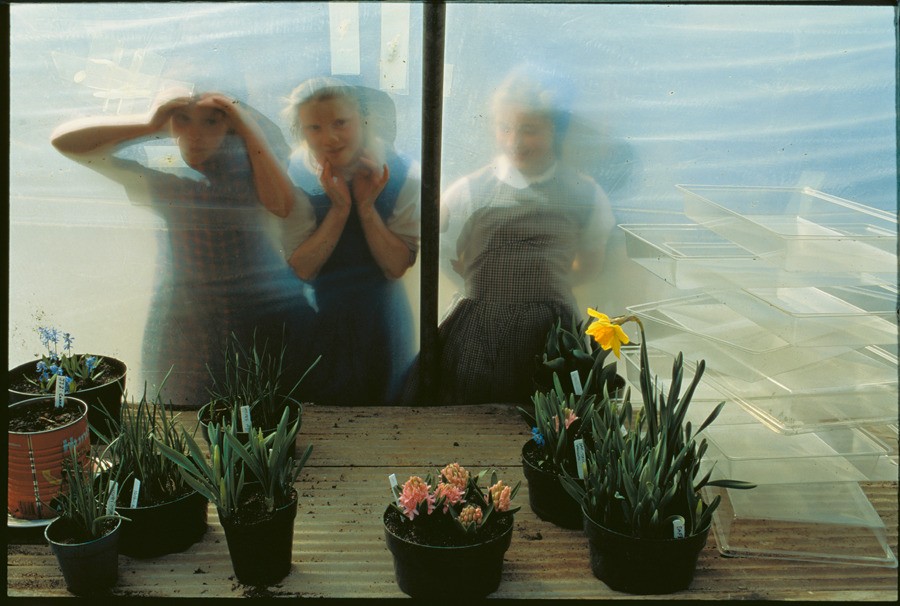 Дети гуттеритов заглядывают в окно оранжереи. Коннектикут, 1991. Фотограф Джоэл Сартор