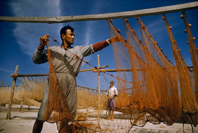 Рыбак сушит сети в городе Сидон (Сайда), Ливан, 1956. Фотограф Дэвид Бойер