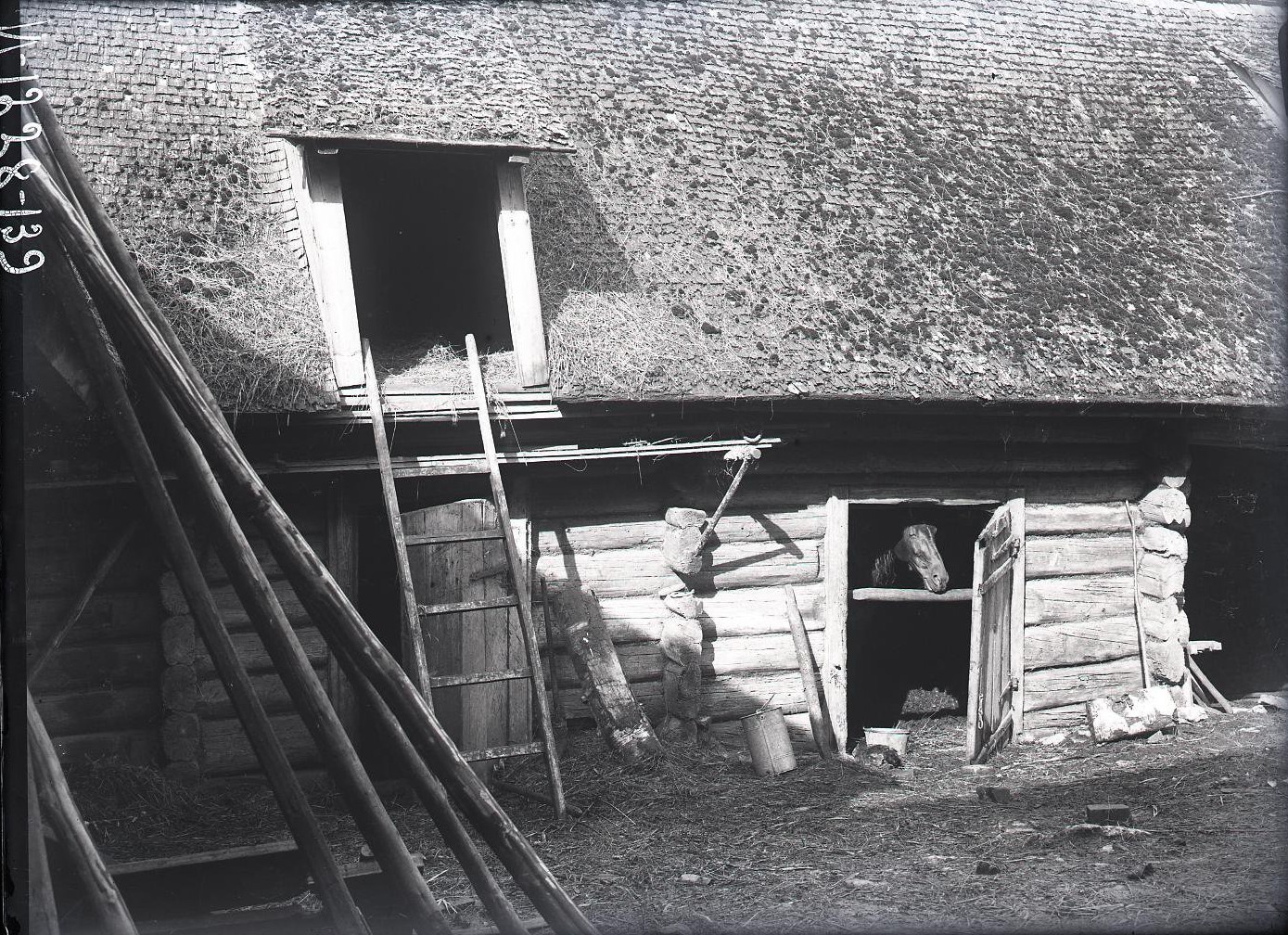 Конюшня, Никольское, Ленинградская область, 1925. Автор А. А. Беликов 
