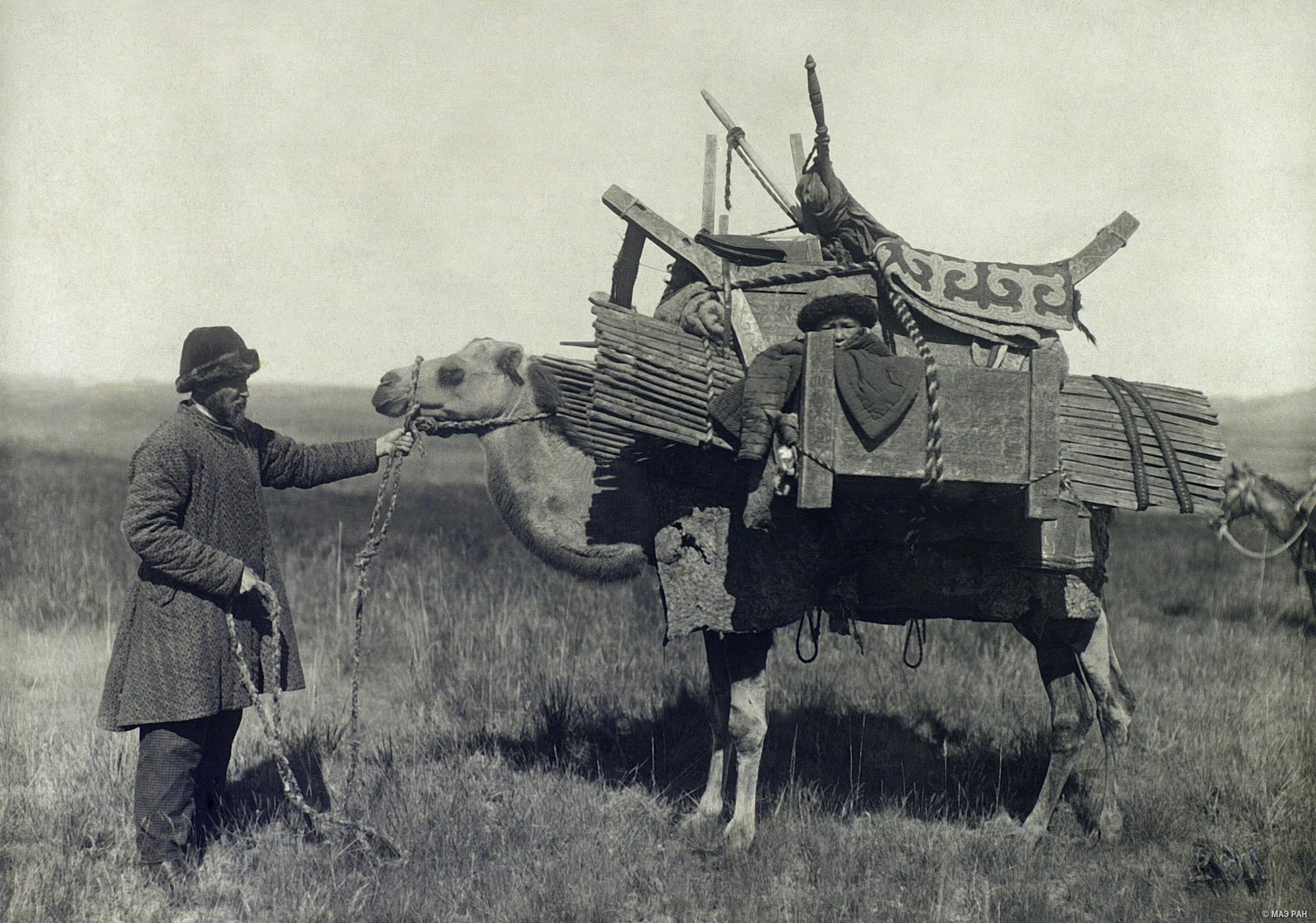 Верблюд, нагруженный домашним скарбом (кочевка). Казахи, Казахстан, Семипалатинская область, 1899. Автор С. М. Дудин