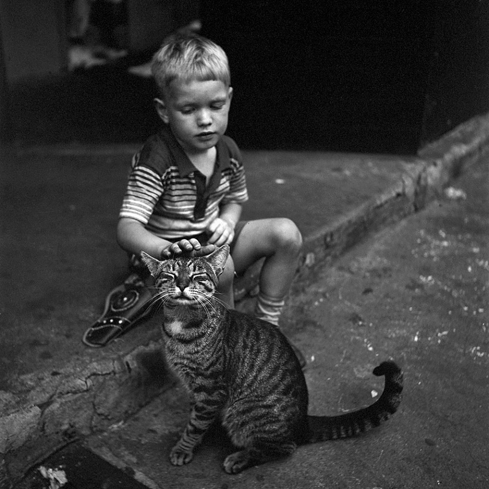 Мальчик с котом, Нью-Йорк, 1954. Фотограф Вивиан Майер