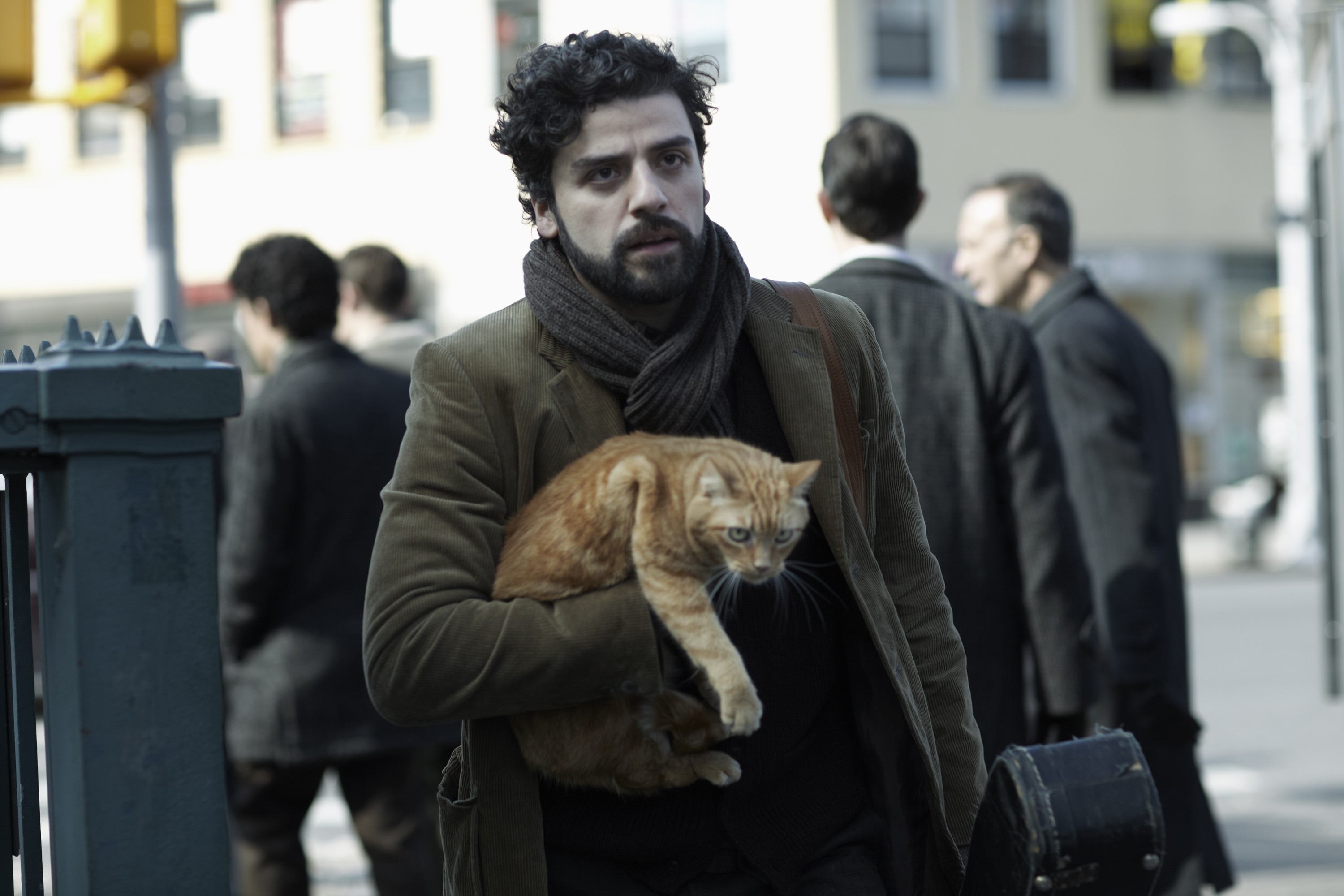 Оскар Айзек с рыжим котом на съёмках фильма Внутри Льюина Дэвиса, 2013