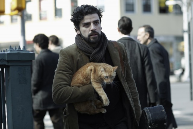 Оскар Айзек с рыжим котом на съёмках фильма «Внутри Льюина Дэвиса», 2013