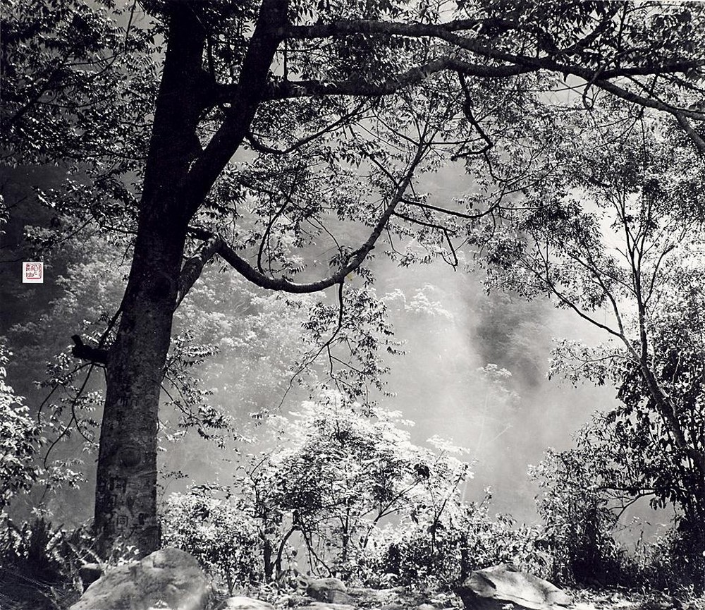 Возрождение весны. 1956 год. Китай. Фотограф Лонг Чинсан — Восточный минимализм в фотографии: красота и сила простоты / Камералабс
