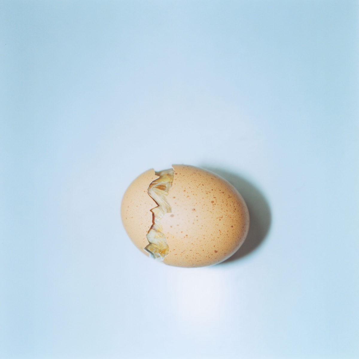 Красота простых вещей. Япония. Фотограф Ринко Каваучи (Rinko Kawauchi) — Восточный минимализм в фотографии: красота и сила простоты / Камералабс