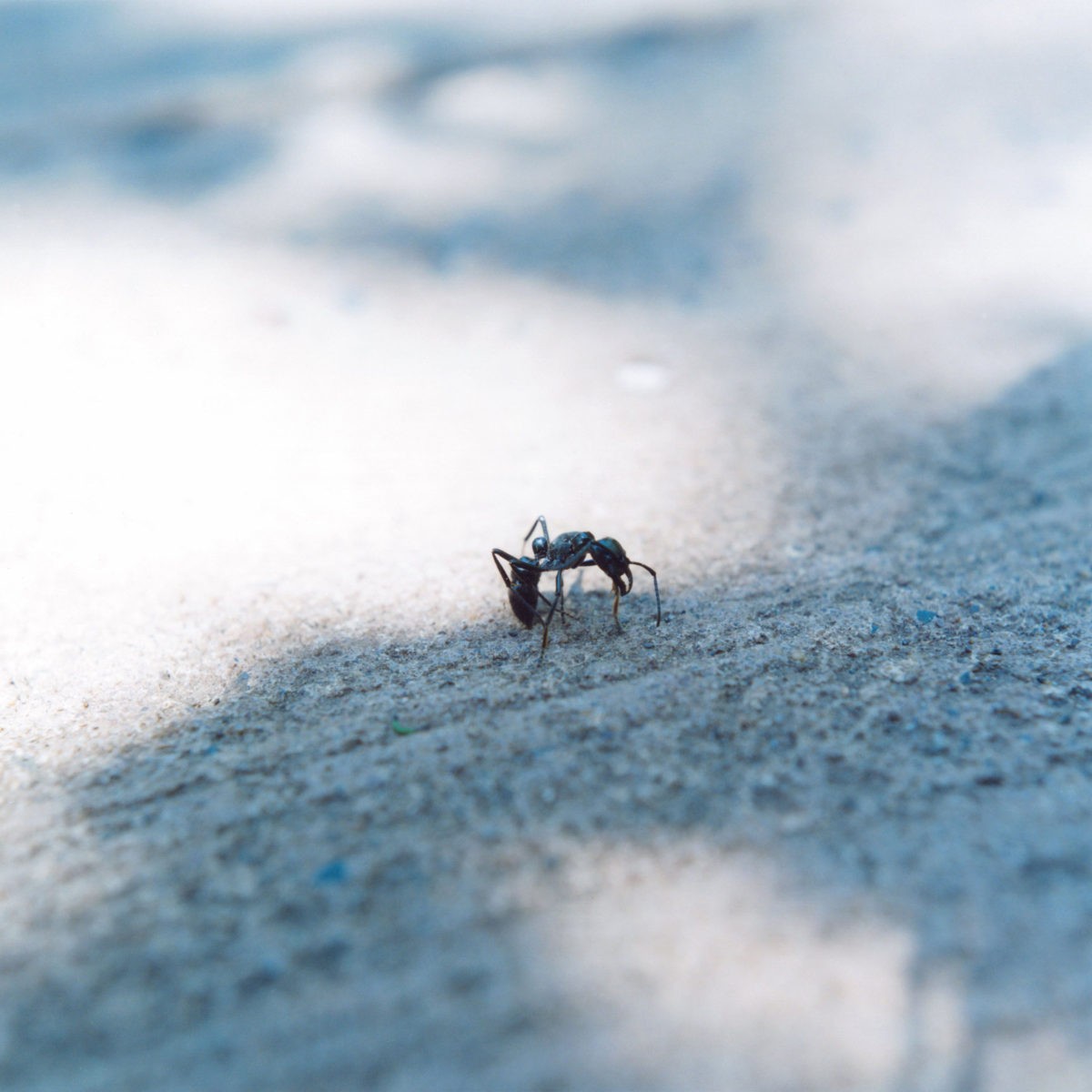 Красота простых вещей. Япония. Фотограф Ринко Каваучи (Rinko Kawauchi) — Восточный минимализм в фотографии: красота и сила простоты / Камералабс