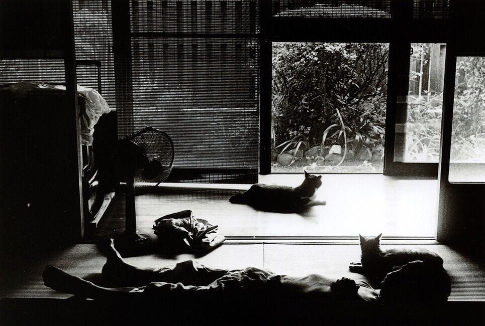 Токио. Япония. Фотограф Джунку Ниcимура (Junku Nishimura) — Восточный минимализм в фотографии: красота и сила простоты / Камералабс