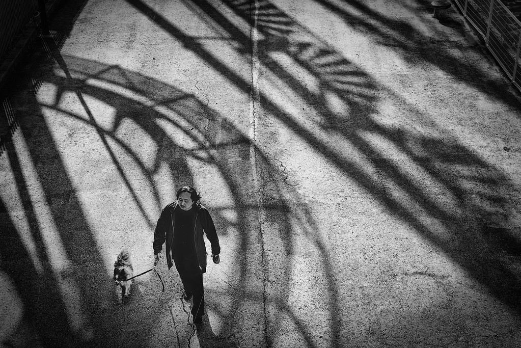 Уличная фотография. Токио, Япония. Фотограф Хирохару Мацумото (Hiroharu Matsumoto). — Восточный минимализм в фотографии: красота и сила простоты / Камералабс