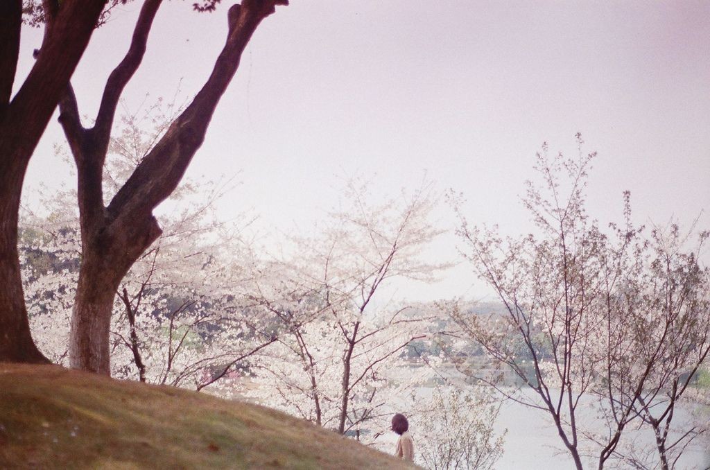 Китай. Фотограф Ли Хуэй (Li Hui) — Восточный минимализм в фотографии: красота и сила простоты / Камералабс