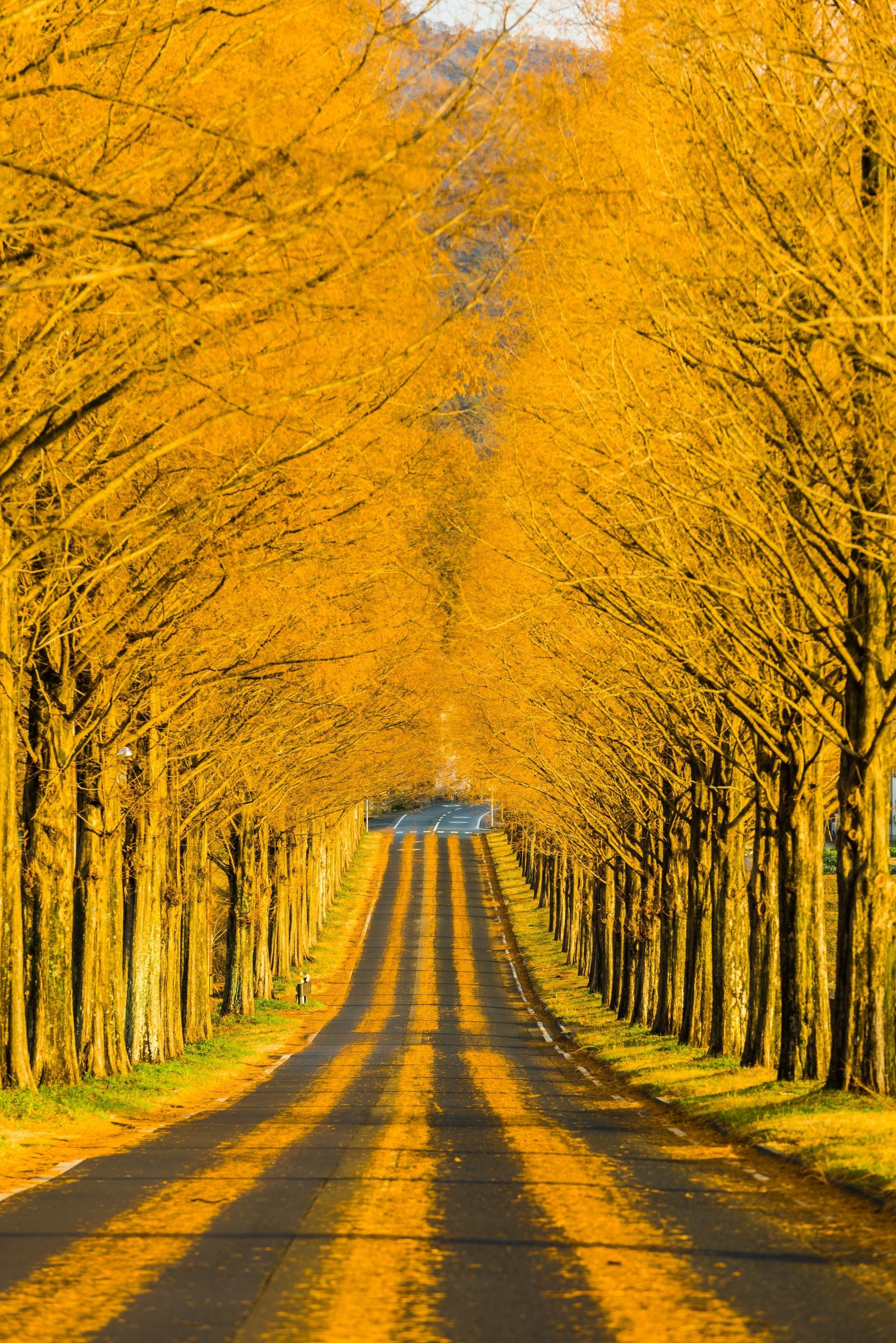 Осенний пейзаж. Фотограф Такахиро Бешо