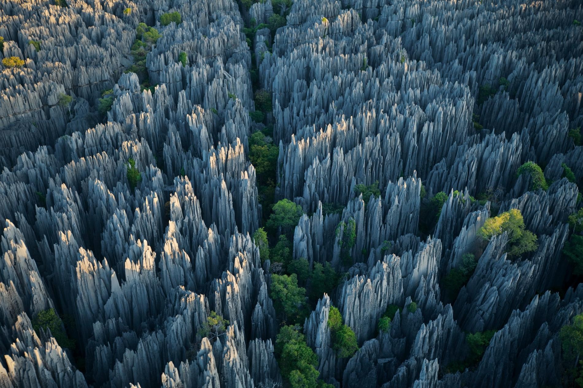 Карстовое плато, подвергшееся выветриванию и превратившееся в иглы, Национальный парк Цинги-де-Бемараха, Мадагаскар. Фотограф Стивен Альварез