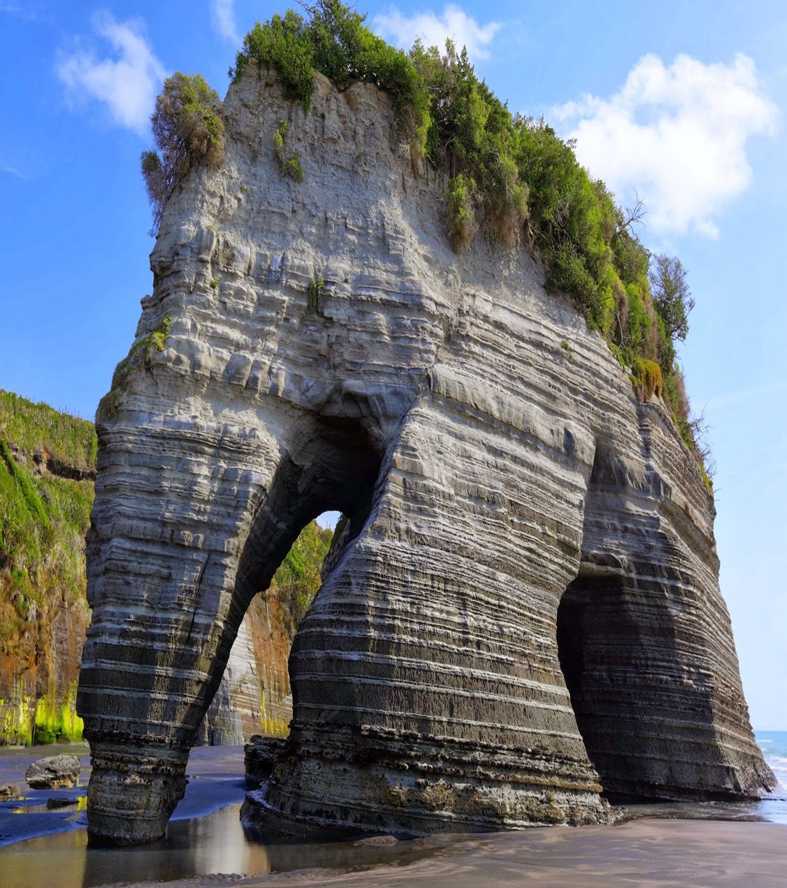 Слоновая скала, пляж Тонгапоруту, Новая Зеландия