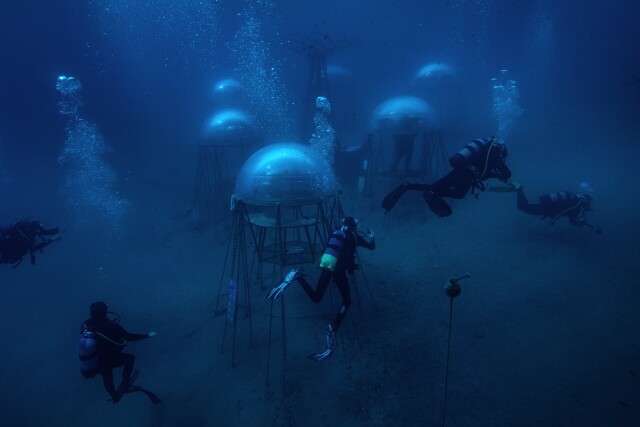 Проект подводного земледелия «Сад Немо» – альтернативная система сельского хозяйства. Ноли, Италия, 2021. Фотограф Джакомо Д’Орландо