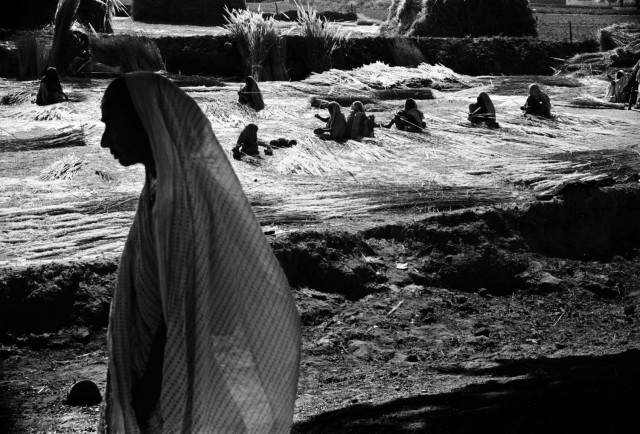 Пасха, Кампобассо, 1955. Фотограф Пьерджорджо Бранци