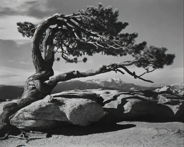Джеффри Пайн, Дом Стража, Национальный парк Йосемити, 1940. Фотограф Энсел Адамс
