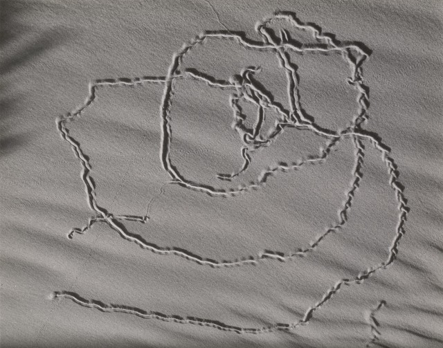 Следы на песке, Океан, 1935. Фотограф Эдвард Уэстон