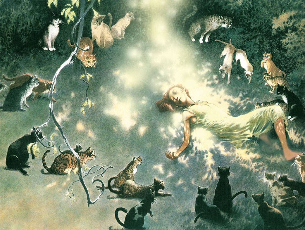 Кошки Дремучего леса. Иллюстратор: Чарльз Дана Весс

