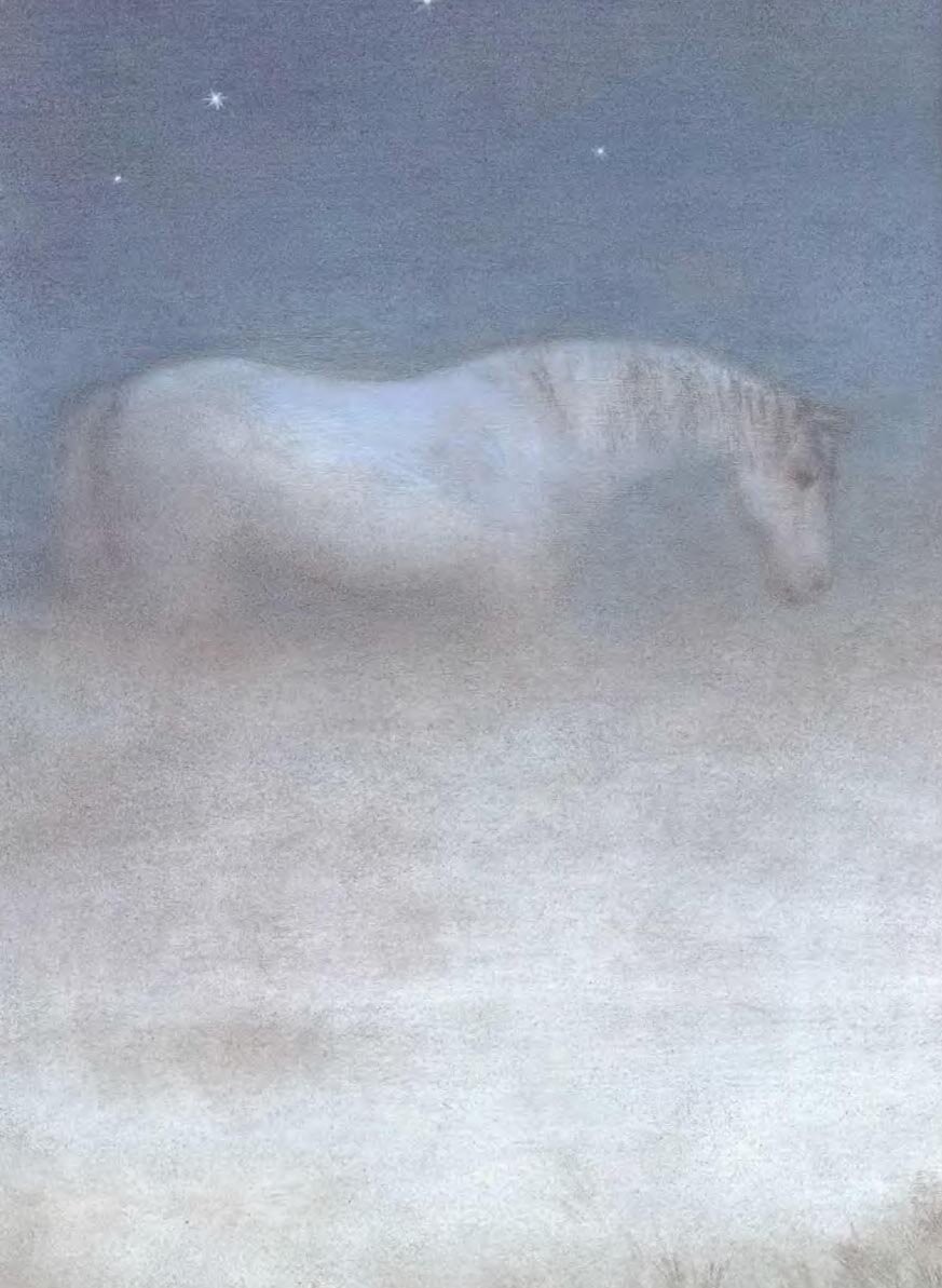 «Ёжик в тумане». Иллюстратор: Франческа Ярбусова