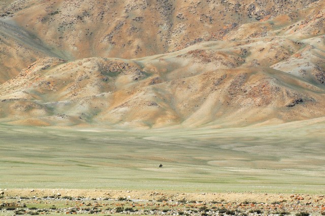 Всадник в Монголии. Фотограф Марк Прогин