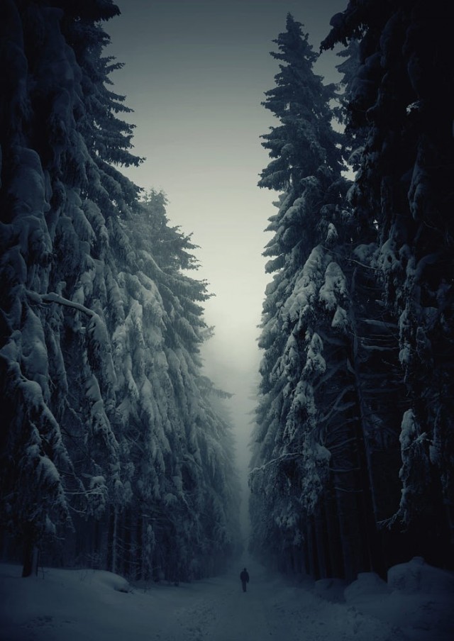 В лесу. Фотограф Иэн Мачата