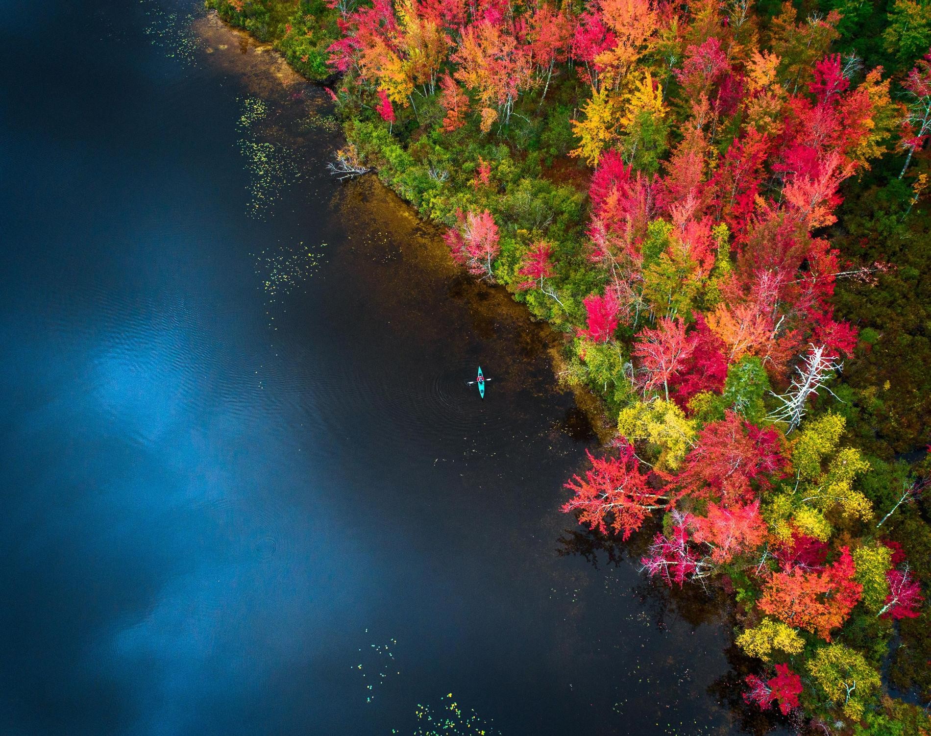 Каякер на озере Чокоруа и цвета осени, Нью-Гэмпшир. Фотограф Маниш Мамтани