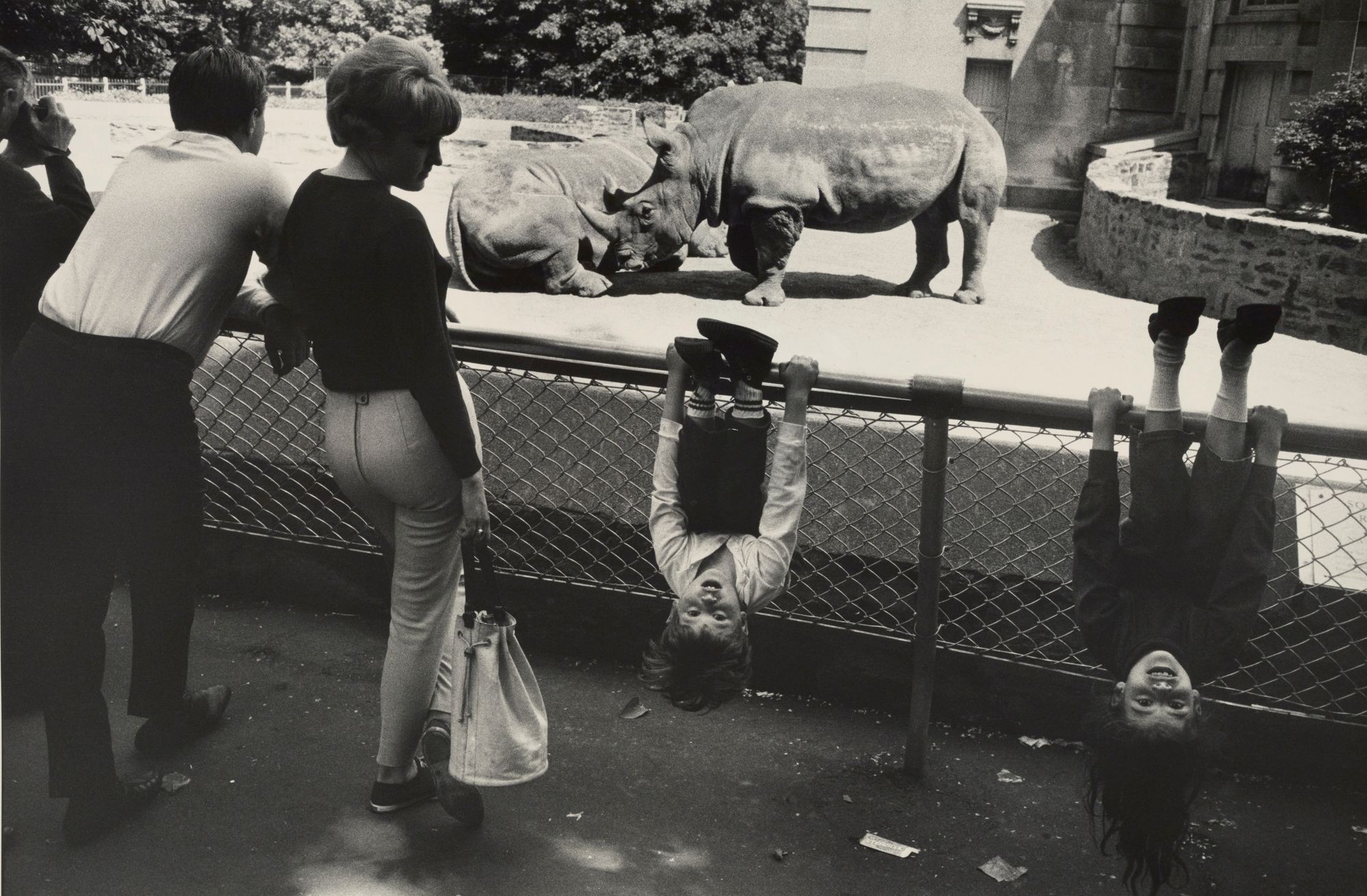 В зоопарке. Нью-Йорк, 1964. Фотограф Гарри Виногранд