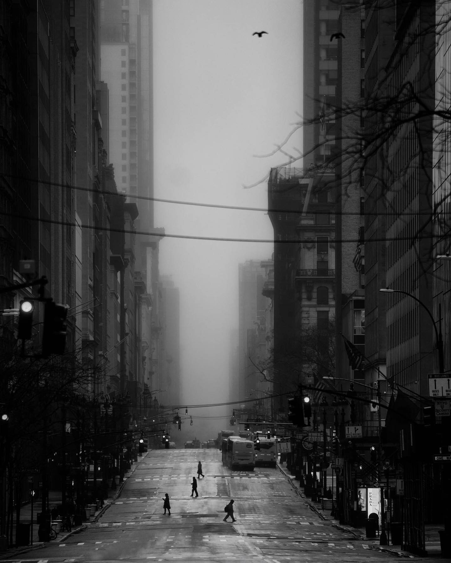 Пятая авеню, Нью-Йорк. Фотограф Фил Пенман