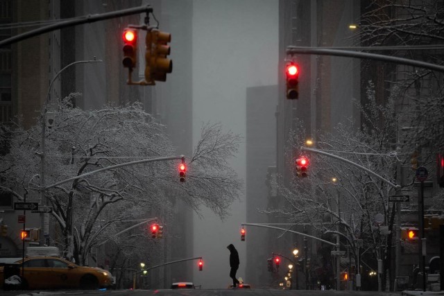 Снежок на Мэдисон-авеню, Нью-Йорк. Фотограф Фил Пенман