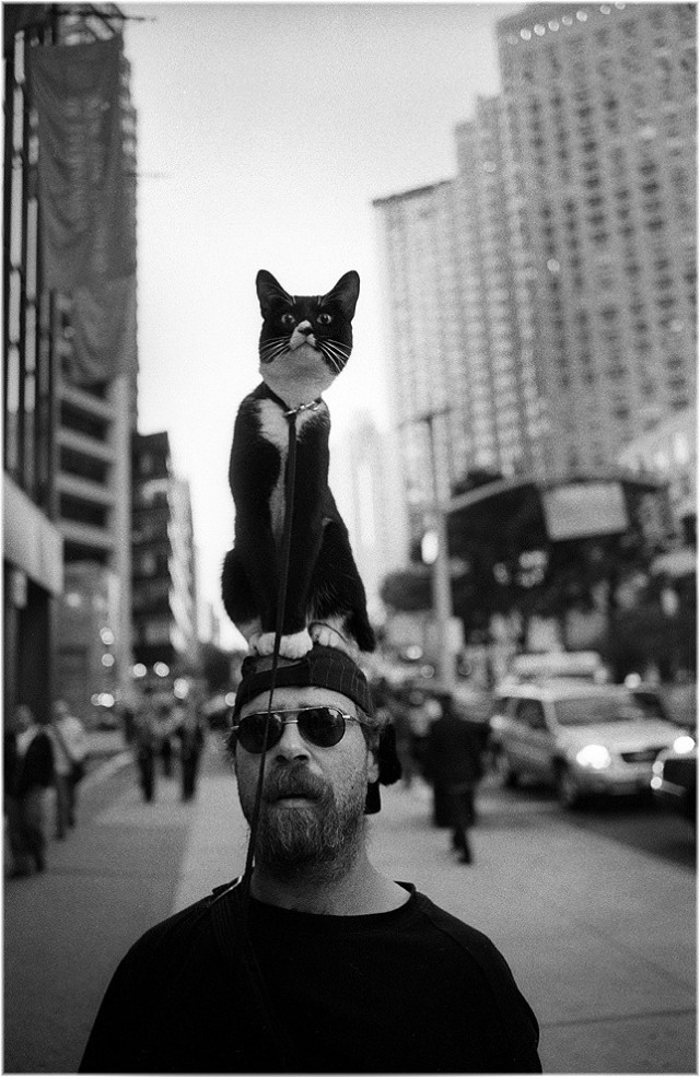 Прогулка с котом, Нью-Йорк. Фотограф Мэтт Вебер