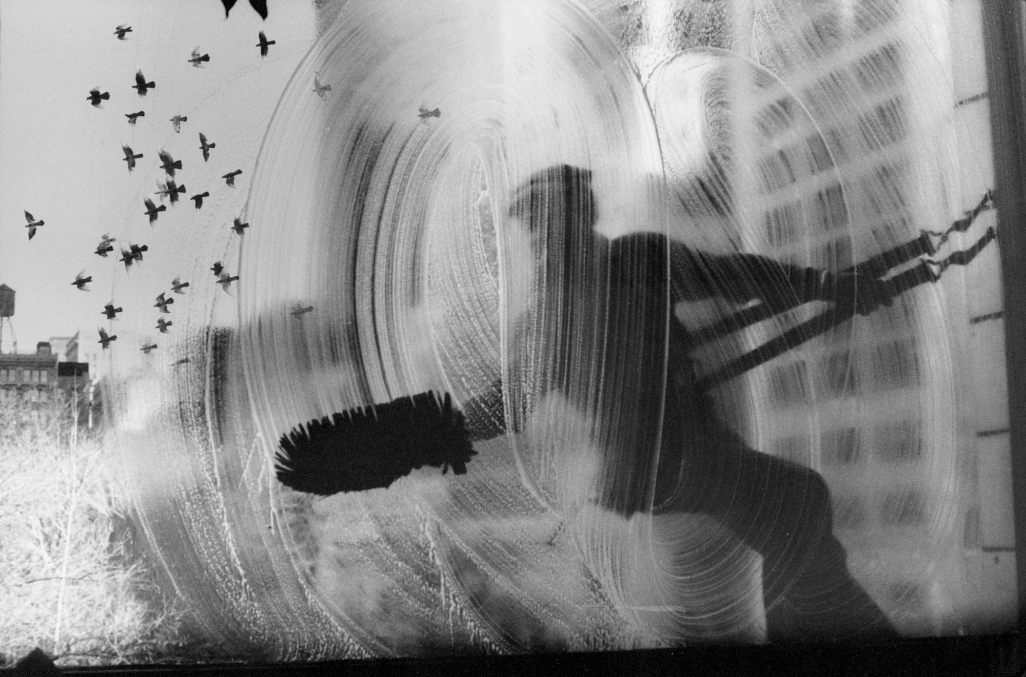 Мойщик окон, 1968. Фотограф Гарольд Файнштейн 