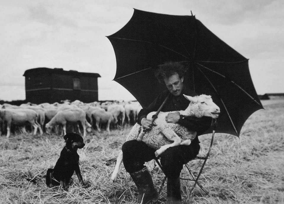 Пастух, 1954. Фотограф Сабина Вайс