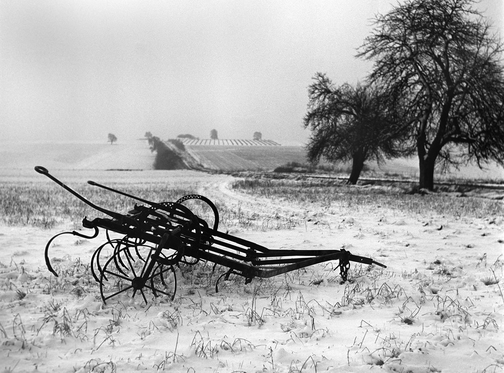 Снежный покров на поле в Иль-де-Франс, 1951. Фотограф Сабина Вайс
