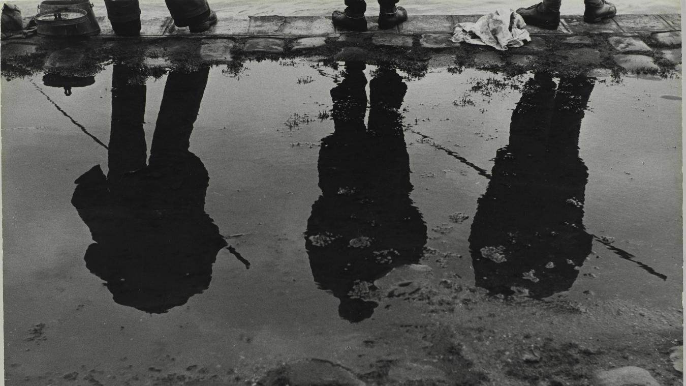 Тени и отражения берегов Сены, 1952. Фотограф Сабина Вайс