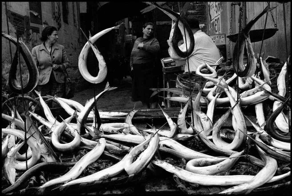 Неаполь, 1958. Фотограф Леонард Фрид