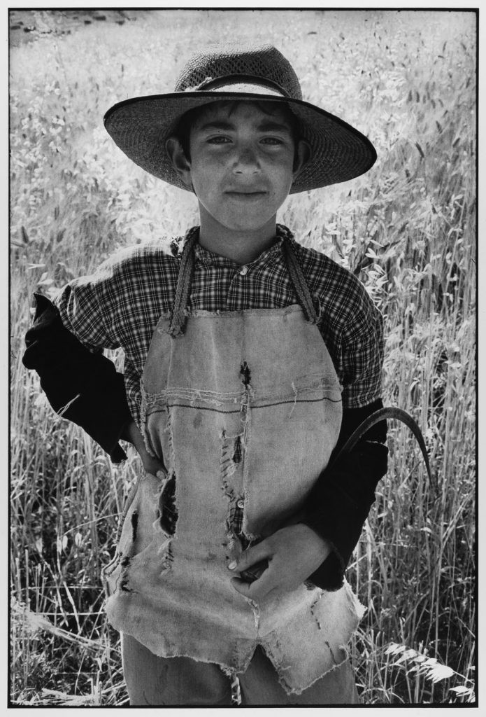 Молодой фермер с серпом Сицилия Италия, 1974. Фотограф Леонард Фрид