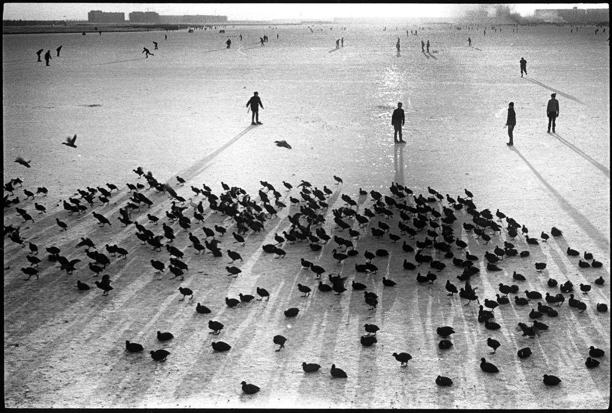 Амстердам, 1964. Фотограф Леонард Фрид
