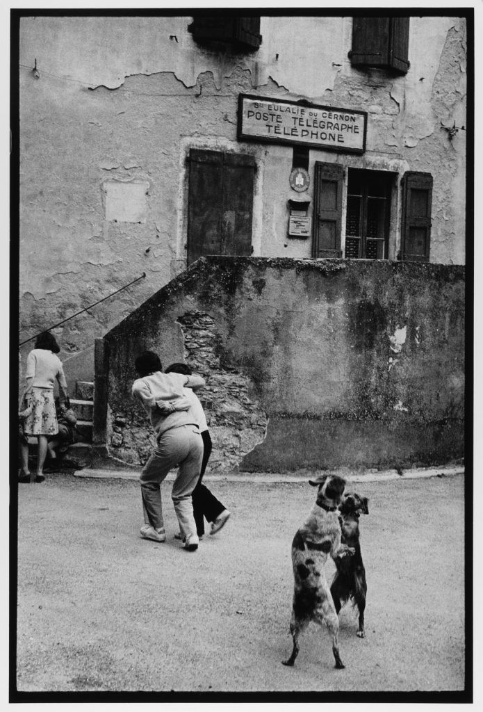 Собаки танцуют на Лазурном берегу, Франция, 1980. Фотограф Леонард Фрид