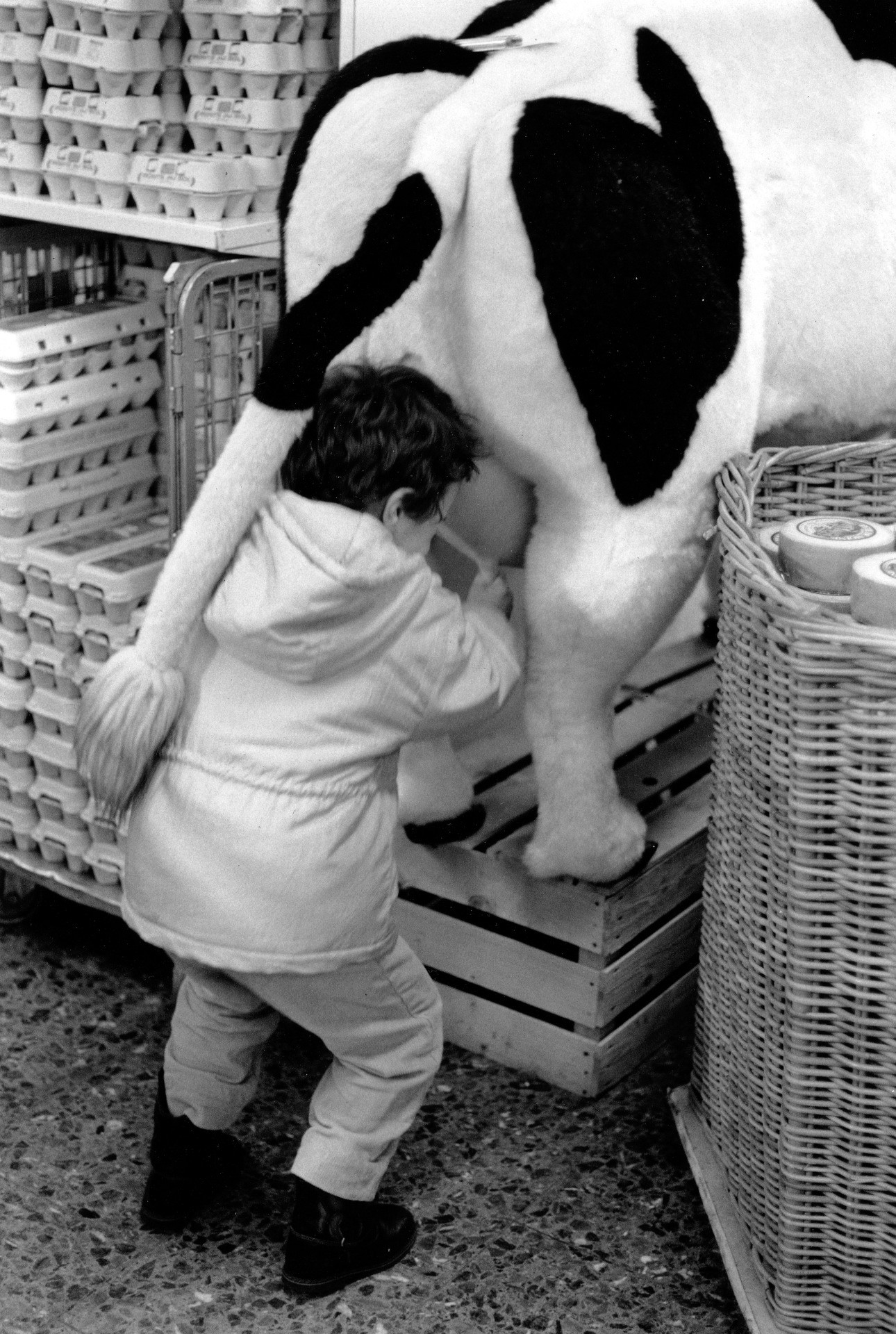 Корова в супермаркете. Фотограф Нильс Йоргенсен