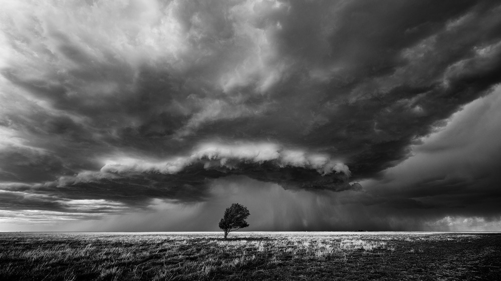 3-е место в категории Природа среди профессионалов. Одинокое дерево на фоне надвигающейся бури в Оклахоме. Фотограф Майк Олбински