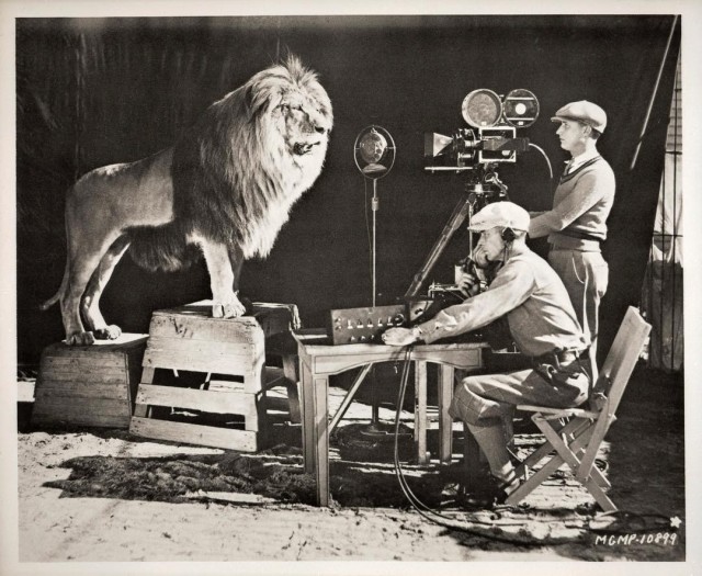 Съёмки льва Лео, талисмана и символа голливудской киностудии Metro Goldwyn Mayer, 1917