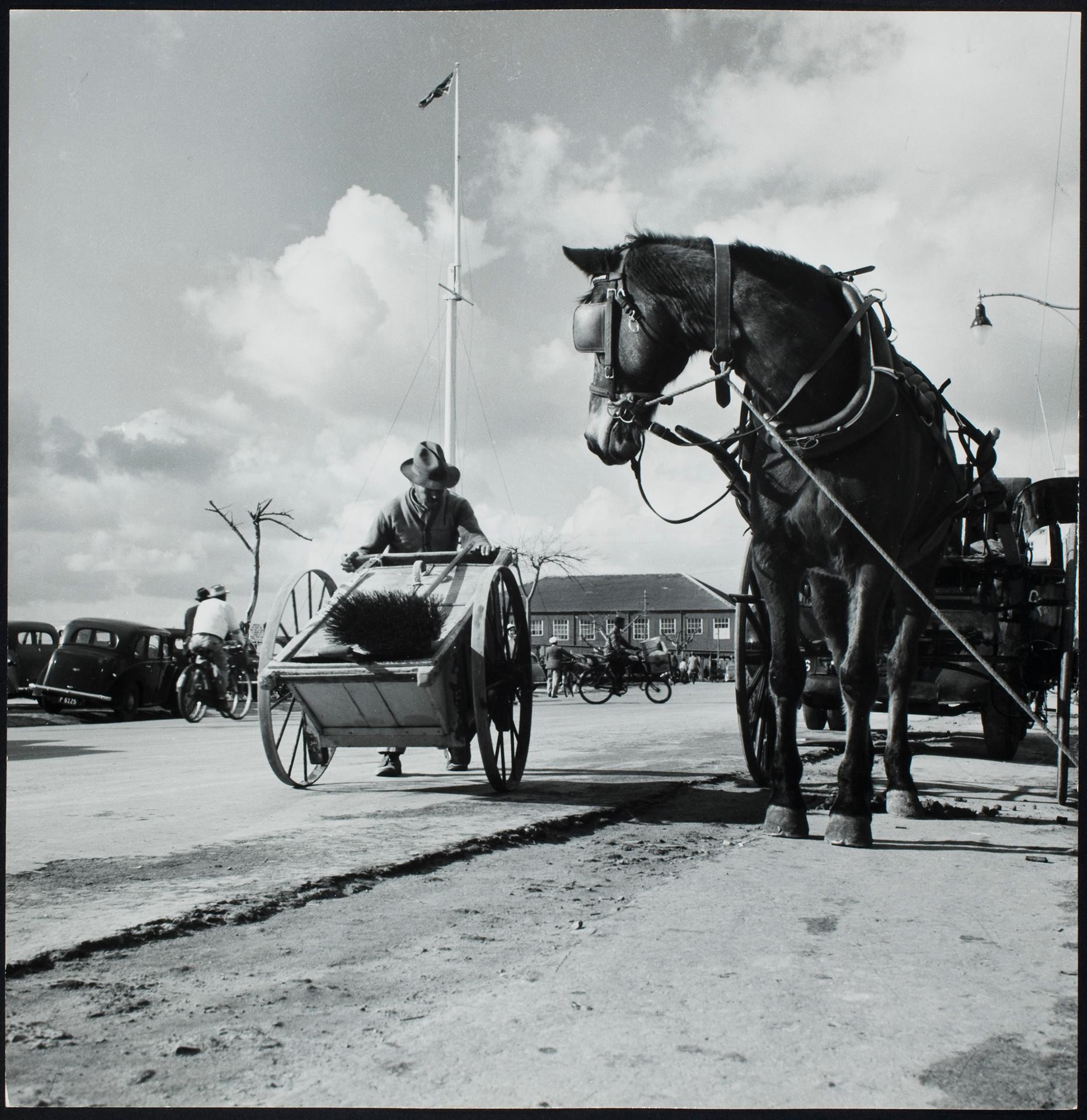 Уборщик улиц, Гамильтон, Бермуды, ок. 1946. Фотограф Ричард Сондерс