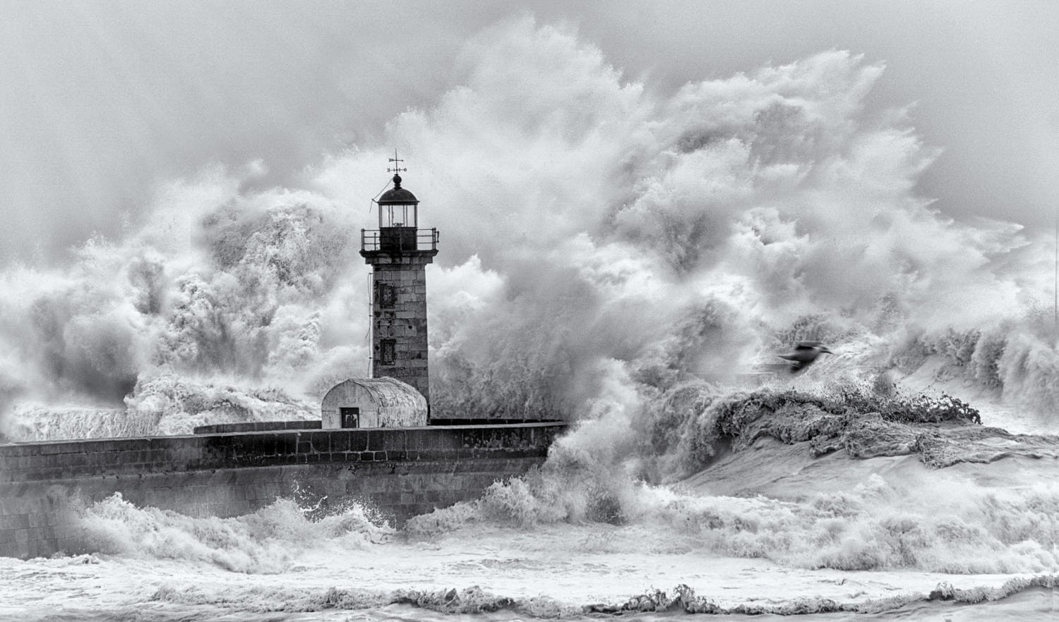 Февральский шторм. Фотограф Эдуардо Тейшейра де Соуза