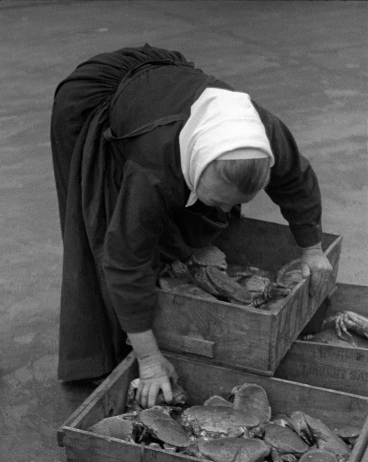 Продавец крабов, Париж, 1935. Фотограф Фред Стайн