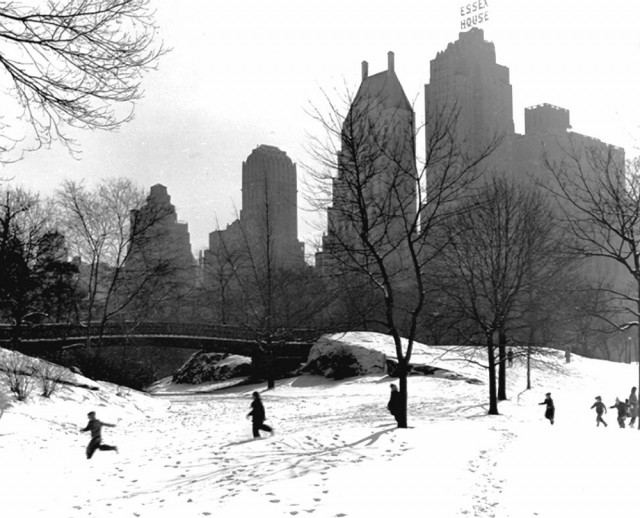 Зима в Центральном парке, Нью-Йорк, 1946. Фотограф Фред Стайн